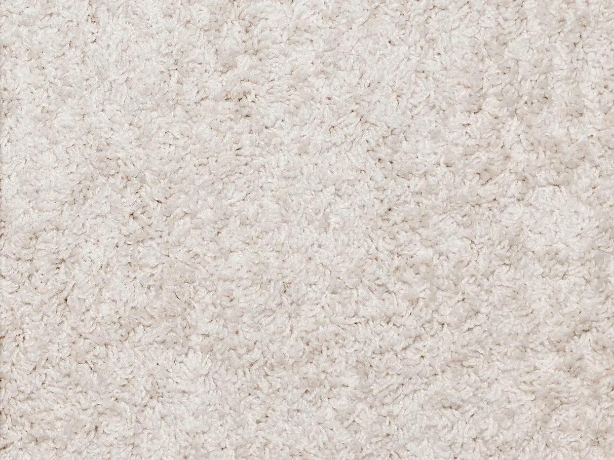 Carpet after eco-friendly deep cleaning in Los Angeles