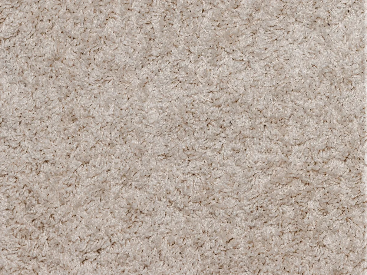 Carpet before professional cleaning in Los Angeles