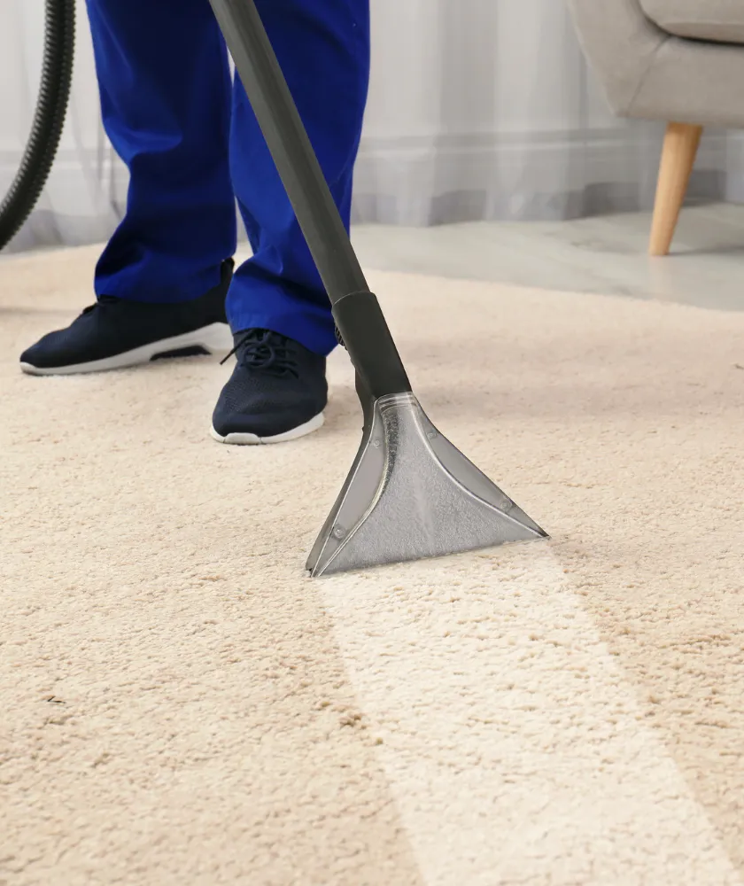 Area rug cleaning service