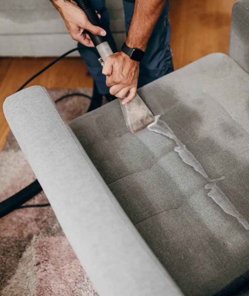Upholstery cleaning service