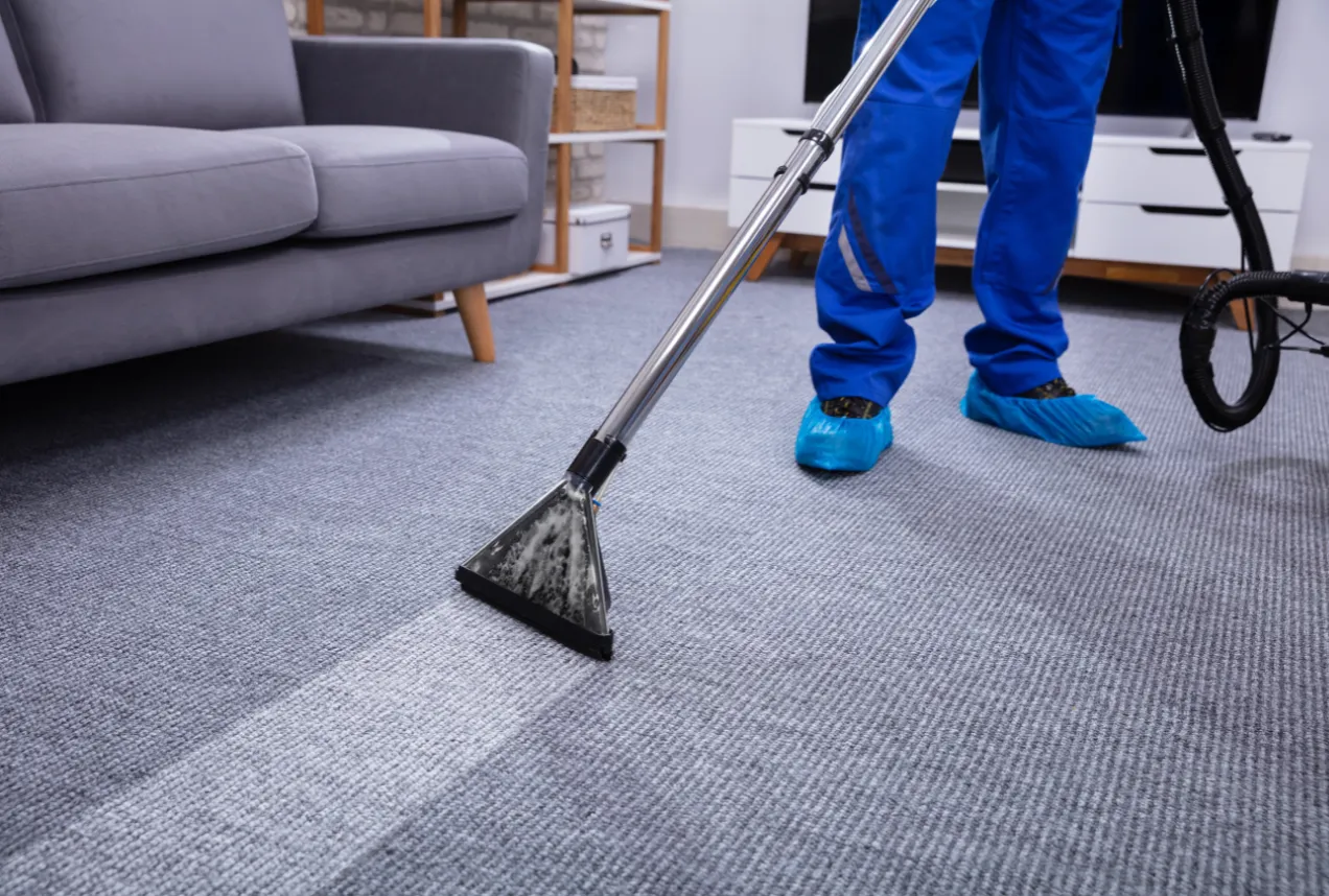 Professional carpet cleaning in Los Angeles living room